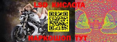гашик Кандалакша