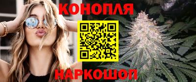прущие крисы Камышлов