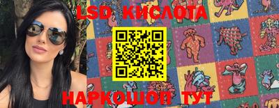 гашик Кандалакша