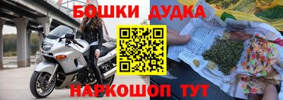 прущие крисы Камышлов