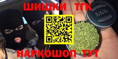 прущие крисы Камышлов