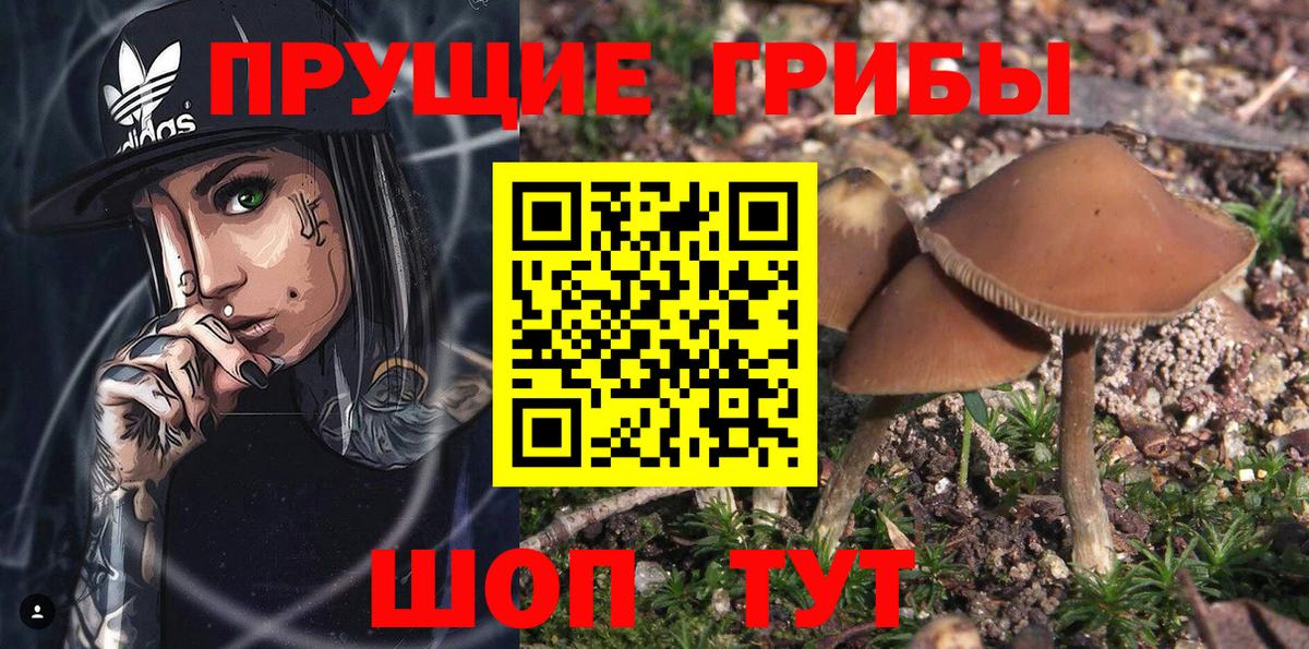 Псилоцибиновые грибы Magic Shrooms  Псилоцибиновые грибы мухоморы  купить   Вход с VPN  Крымск 